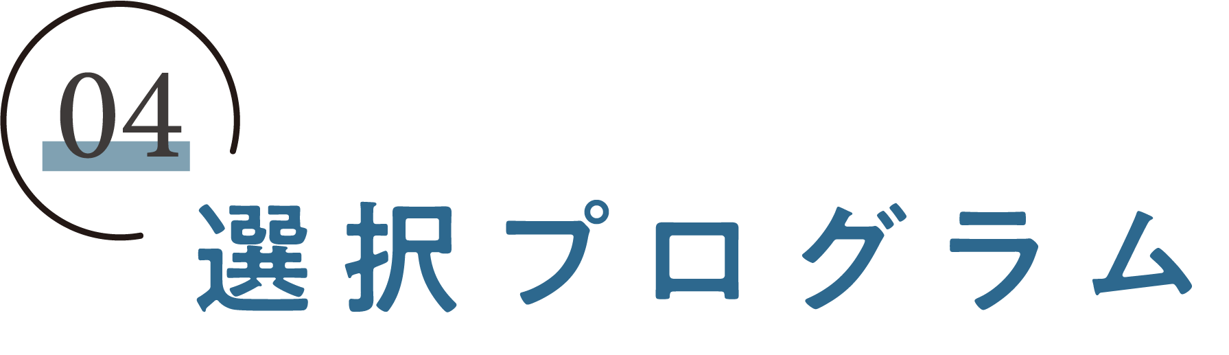 選択プログラム