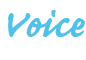 Voice