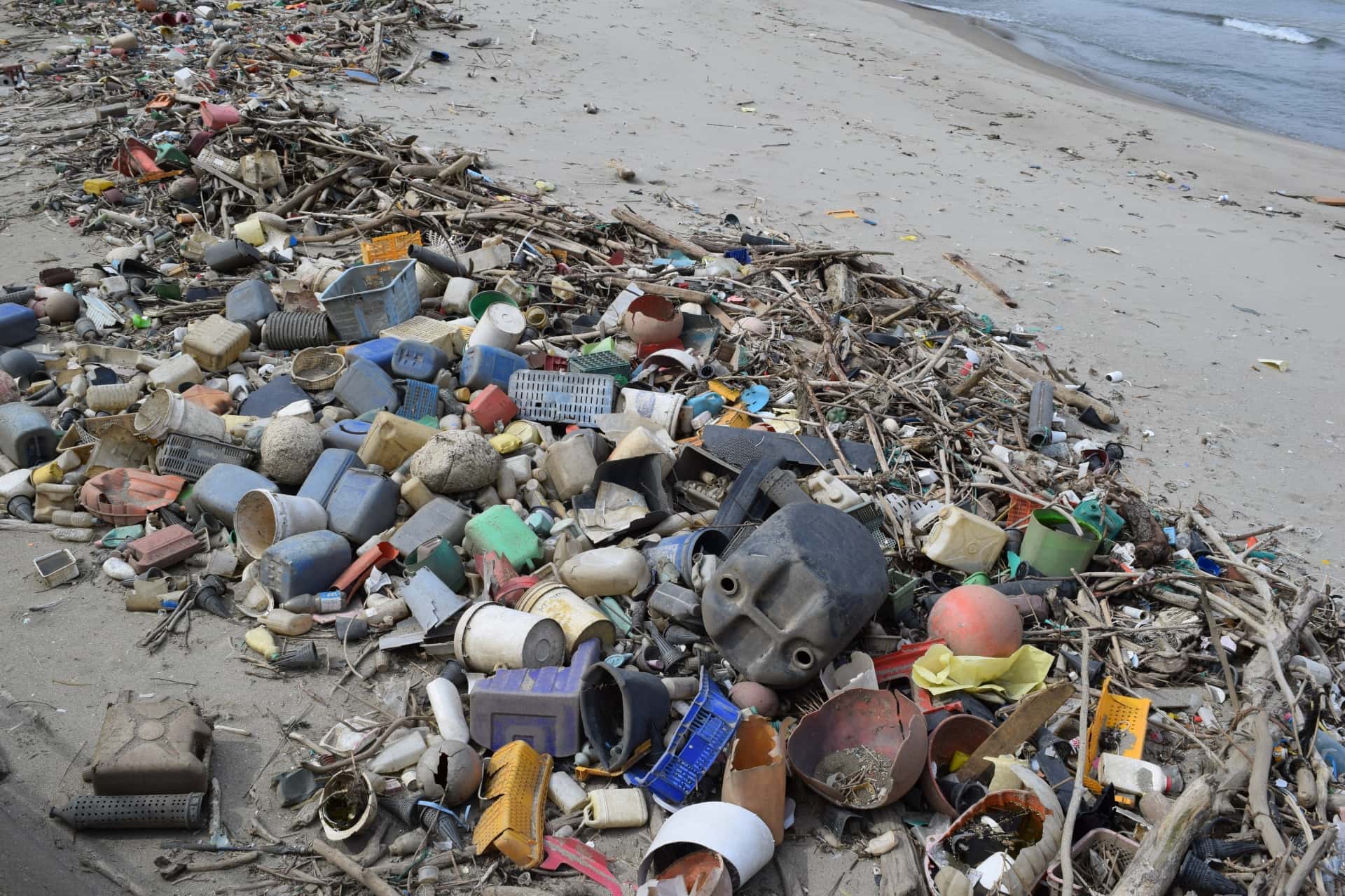 プラスチックごみ問題を調べる