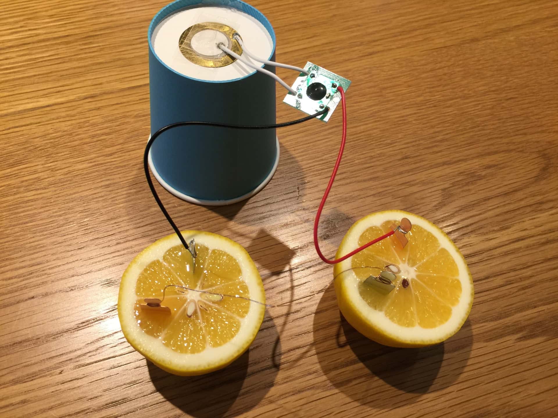 野菜・果物で電池をつくる実験